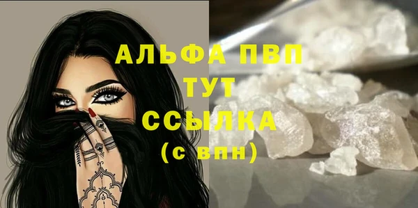 молекула духа Новодвинск