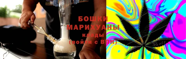 трава Новозыбков