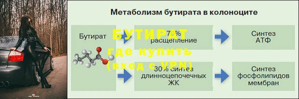 шишки Арсеньев