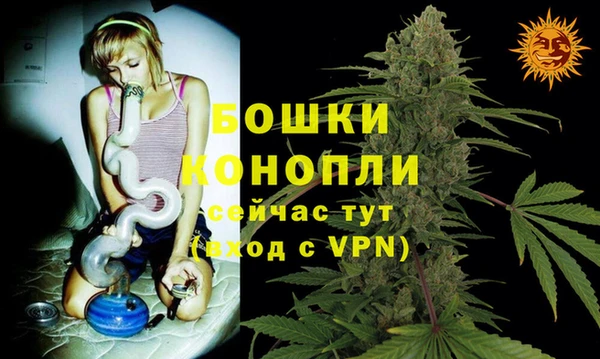 молекула духа Новодвинск