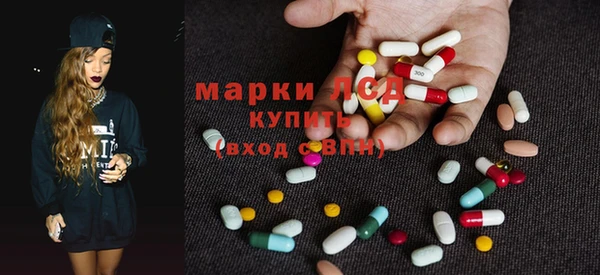 трава Новозыбков