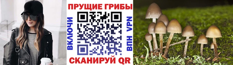 Галлюциногенные грибы прущие грибы Новоульяновск