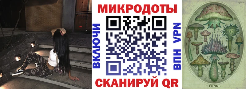 Псилоцибиновые грибы GOLDEN TEACHER  хочу наркоту  Новоульяновск 